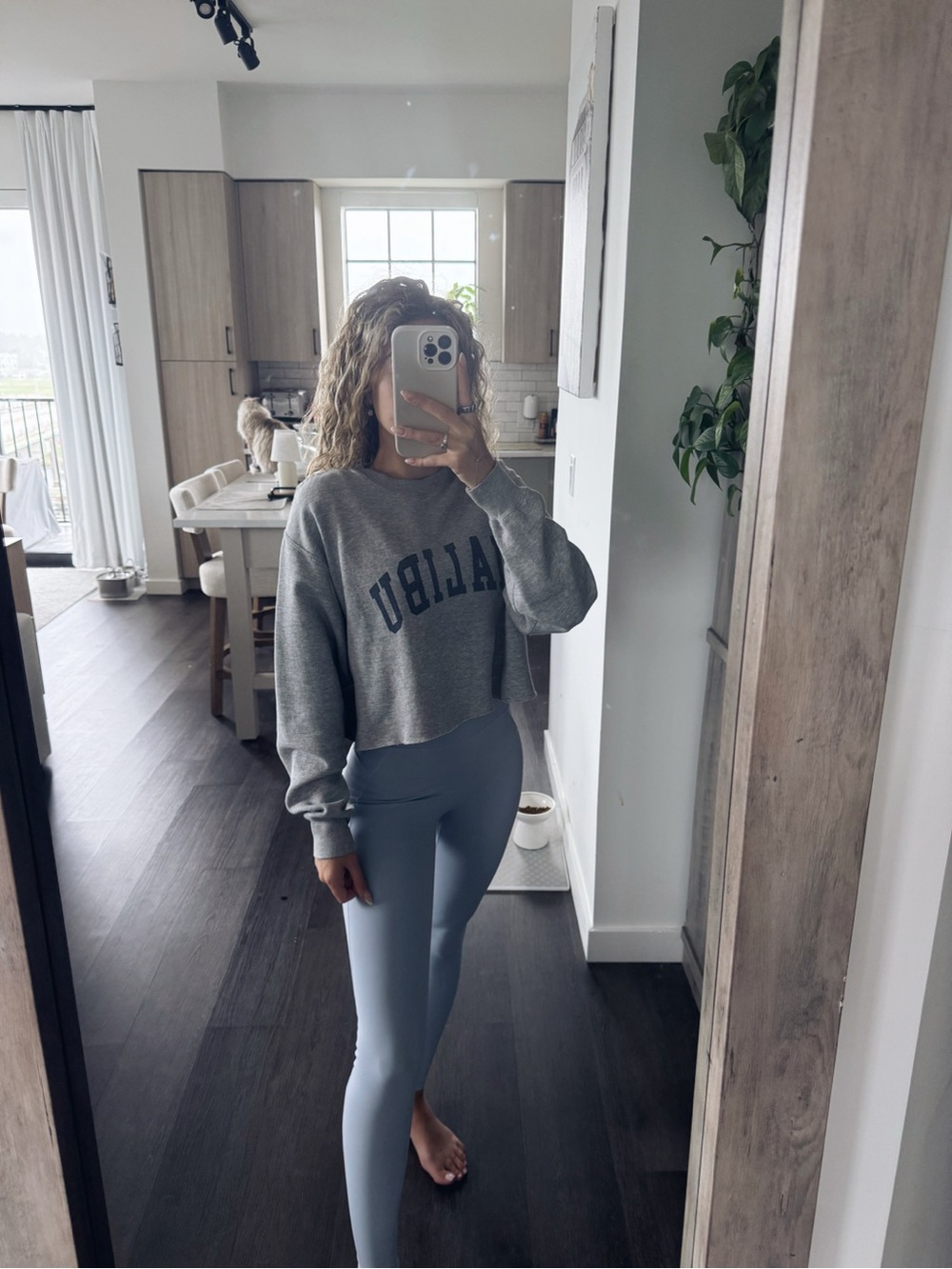 Brandy Melville Malibu Gray Cropped Crewneck (OS)